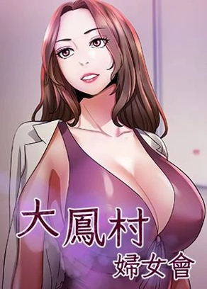 钢之炼金术师 封面